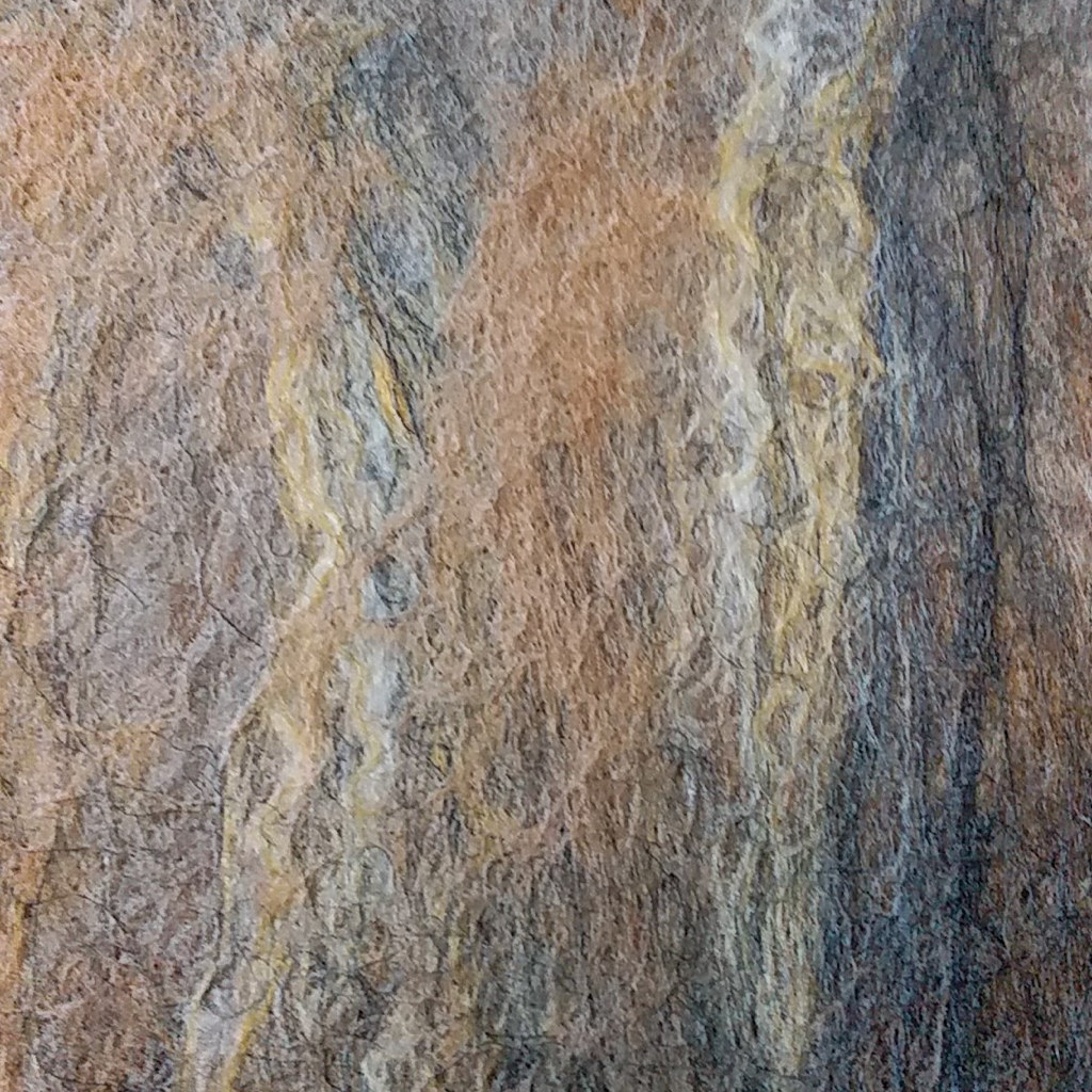 Untitled fibre study III by Fiona Whyte