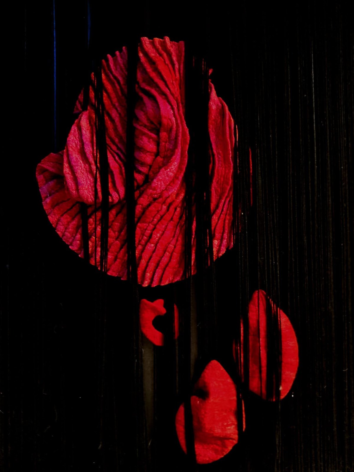 Fibre fine art by Fiona Whyte