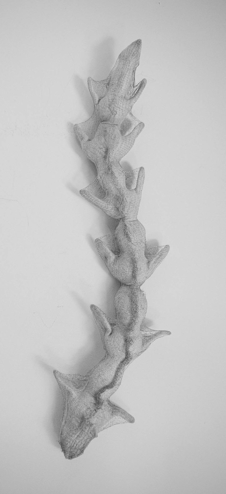 Fibre fine art by Fiona Whyte